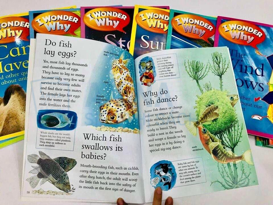 Sách Tiếng Anh - Sách Nhập Khẩu - An Na Siêu Thị Sách I wonder why nhập 24 cuốn kèm file audio