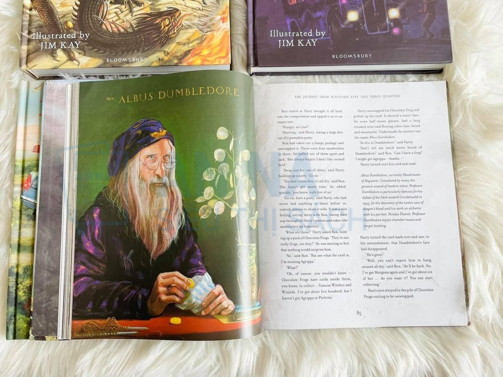 Harry Potter The Illustrated Collection nhập 5 books bìa cứng