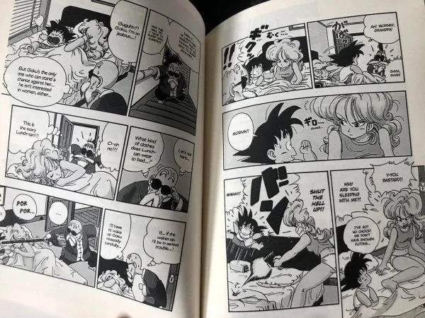 Truyện Tranh Tiếng Anh Dragon Ball – 7 Viên Ngọc Rồng | 16 Quyển – Giấy Chống Lóa - Hình ảnh 8