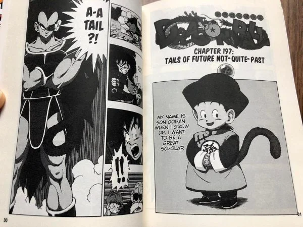 Truyện Tranh Tiếng Anh Dragon Ball – 7 Viên Ngọc Rồng | 16 Quyển – Giấy Chống Lóa - Hình ảnh 10