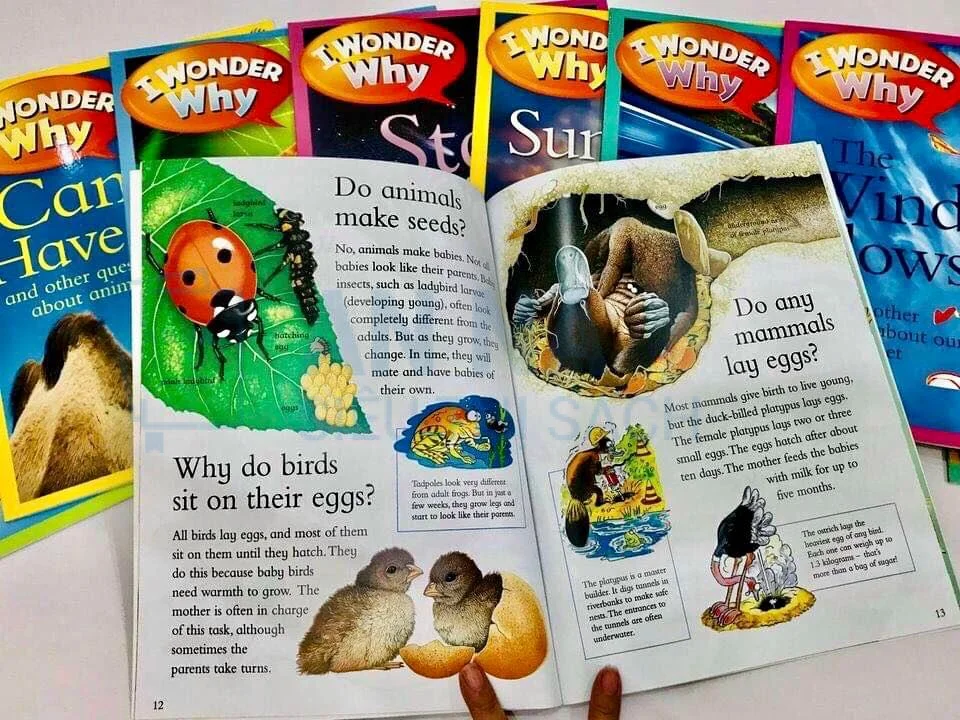 Sách Tiếng Anh - Sách Nhập Khẩu - An Na Siêu Thị Sách Sách tiếng anh I Wonder Why Nhập Màu 24 Cuốn Kèm File Audio - Ảnh 7