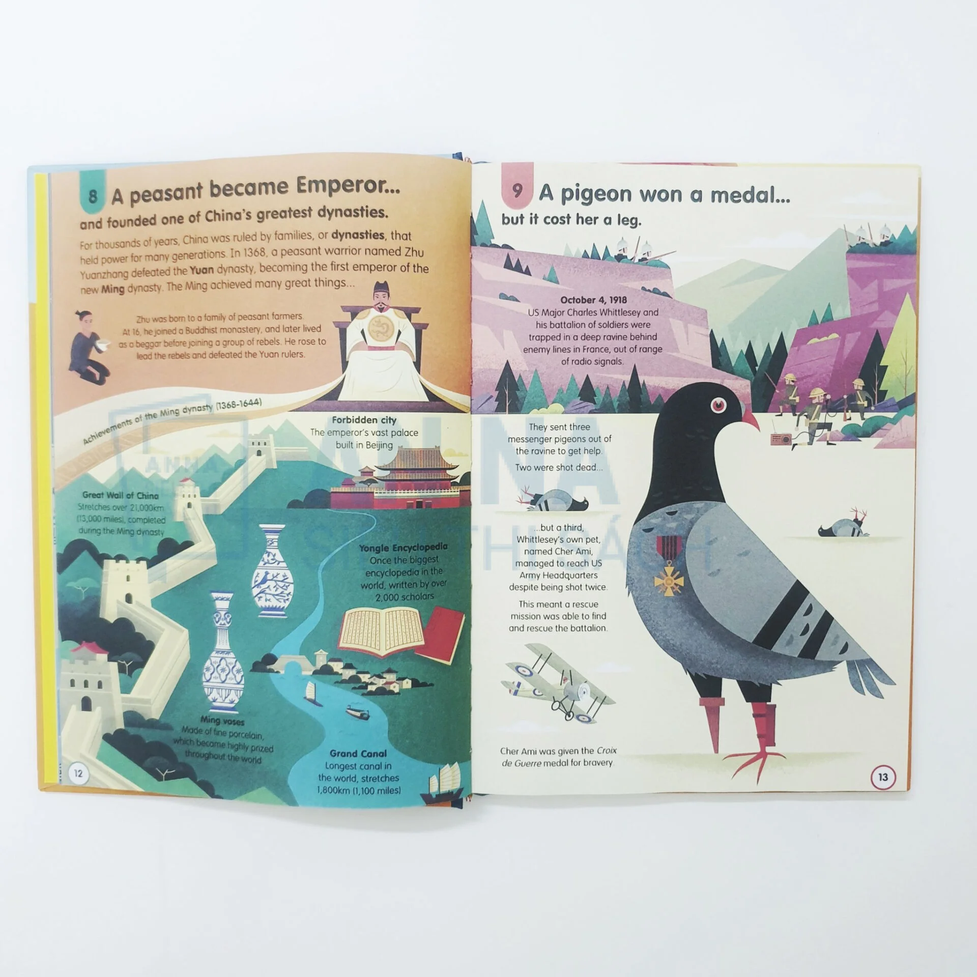 Sách tiếng anh Usborne 100 Things To Know About nhập màu 10 cuốn bìa cứng - Ảnh 15