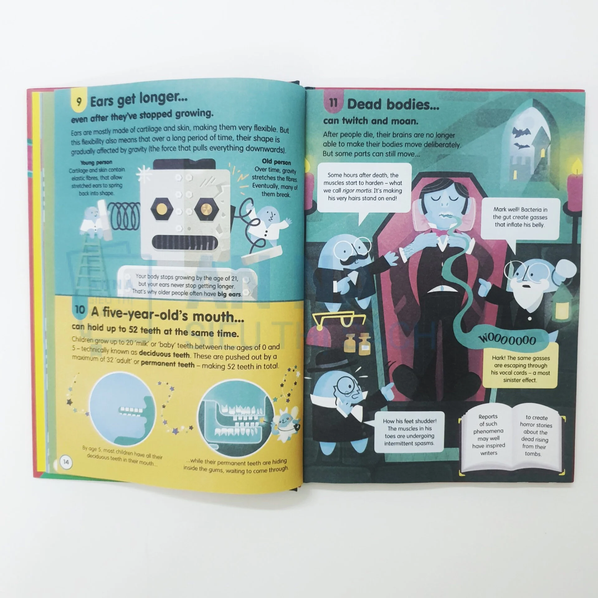 Sách tiếng anh Usborne 100 Things To Know About nhập màu 10 cuốn bìa cứng - Ảnh 14