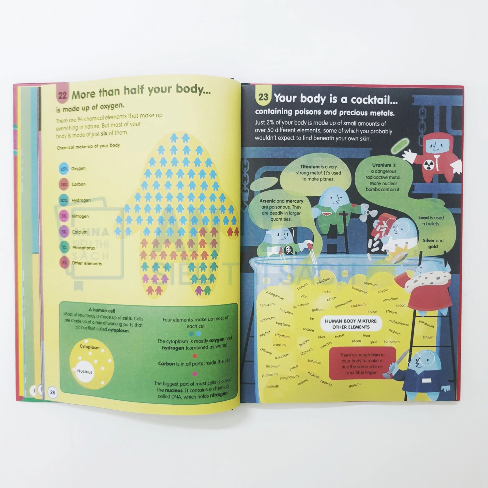 Sách tiếng anh Usborne 100 Things To Know About nhập màu 10 cuốn bìa cứng - Ảnh 13