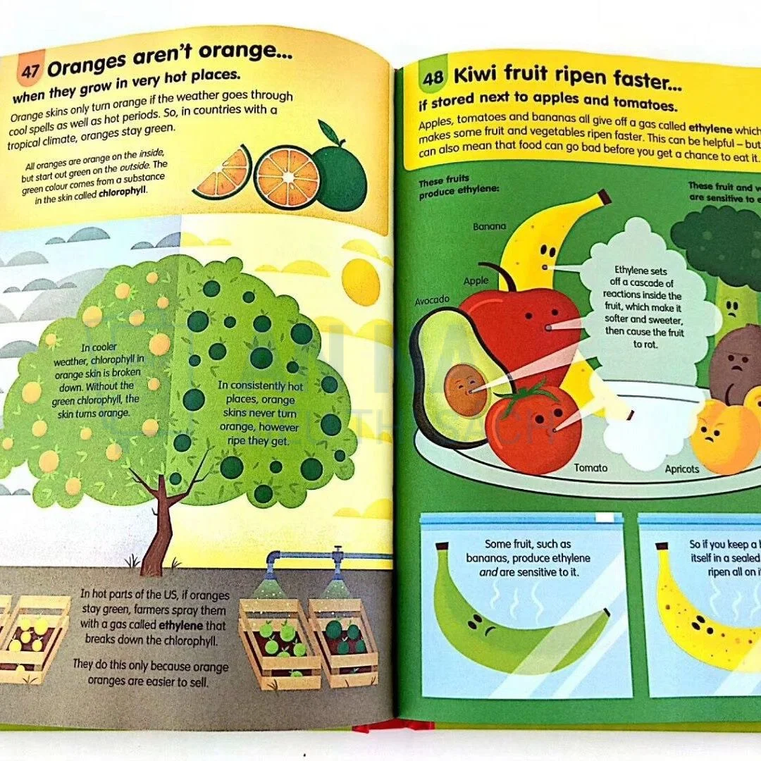 Sách tiếng anh Usborne 100 Things To Know About nhập màu 10 cuốn bìa cứng - Ảnh 3