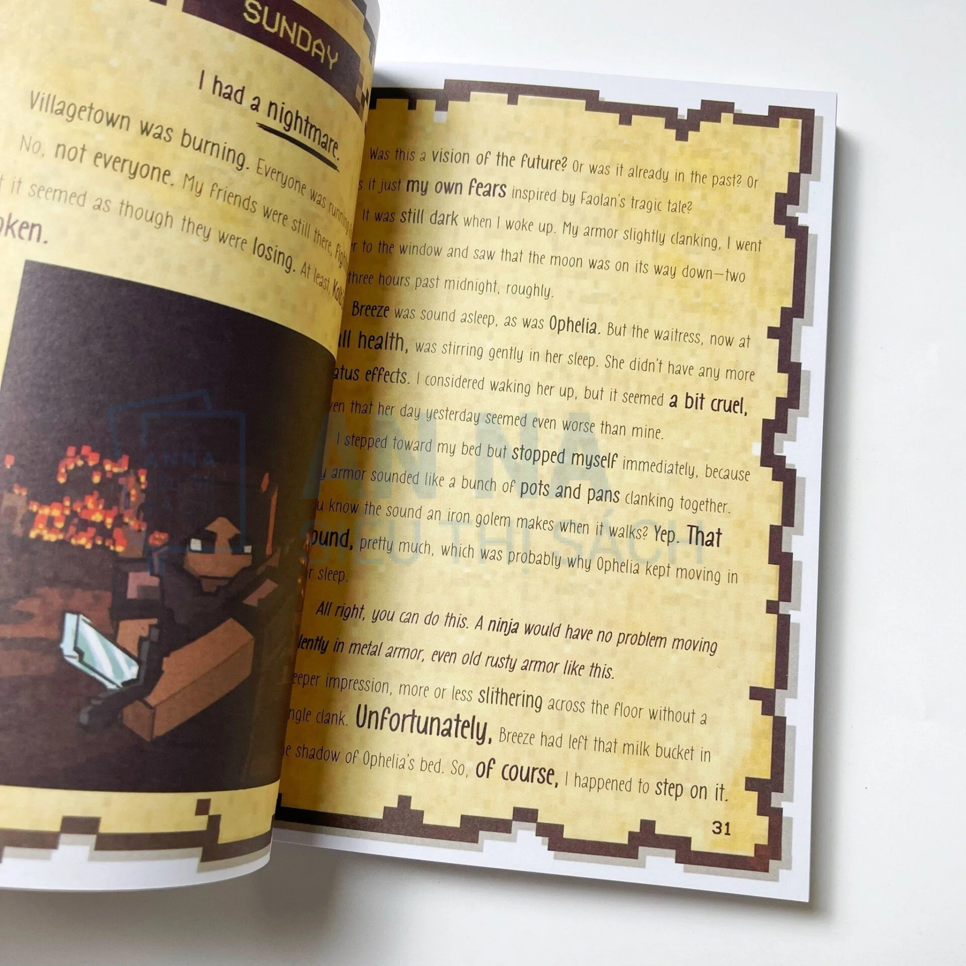 Diary of an 8-Bit Warrior nhập 6 quyển