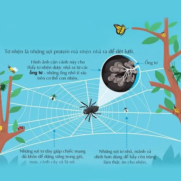 Sách Tiếng Anh - Sách Nhập Khẩu - An Na Siêu Thị Sách Sách Tiếng Anh - Sách Nhập Khẩu - An Na Siêu Thị Sách