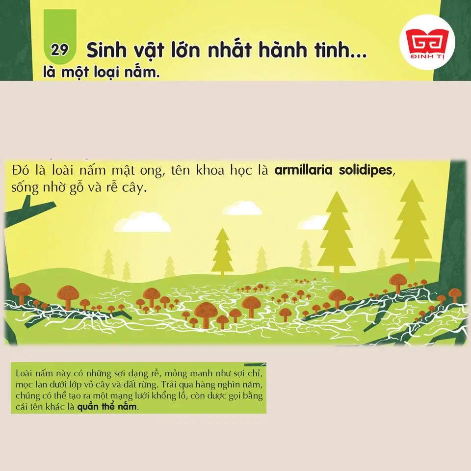Sách Tiếng Anh - Sách Nhập Khẩu - An Na Siêu Thị Sách Sách Tiếng Anh - Sách Nhập Khẩu - An Na Siêu Thị Sách