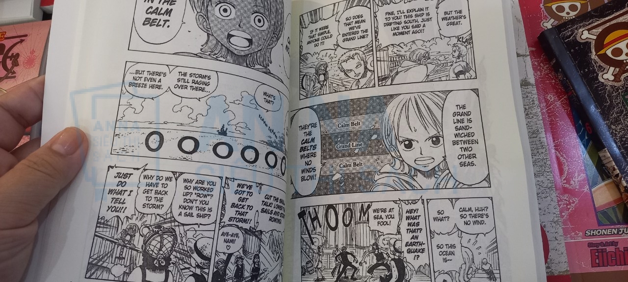 One Piece Đảo Hải Tặc