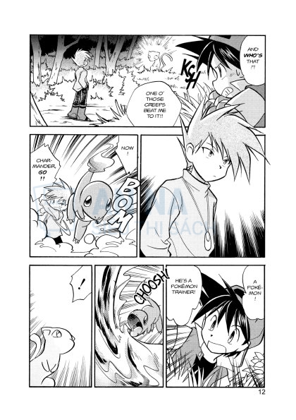 Pokemon Adventures Series Tiếng Anh