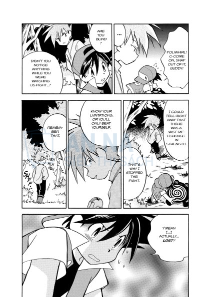 Pokemon Adventures Series Tiếng Anh