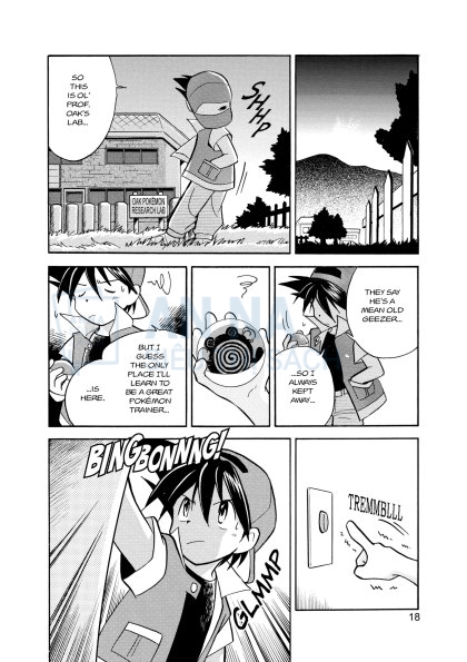 Pokemon Adventures Series Tiếng Anh