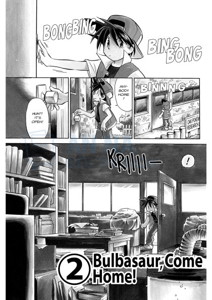 Pokemon Adventures Series Tiếng Anh