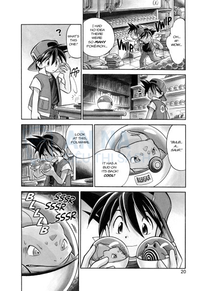 Pokemon Adventures Series Tiếng Anh