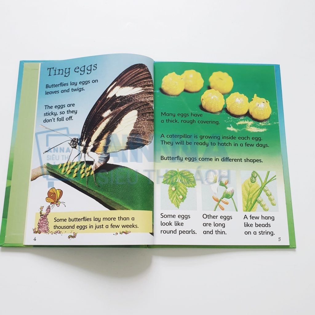 Usborne beginners nature box set collection 10 quyển